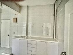 Botanic Gardens Mansion (D10), Apartment #586653351